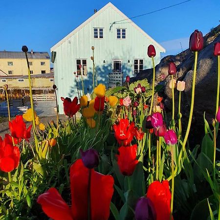 Lysvoldbrygga Bed & Breakfast Henningsvaer Bagian luar foto