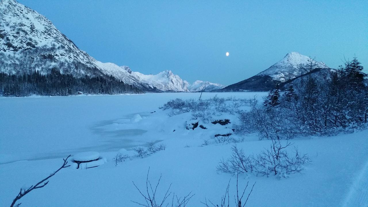 Lysvoldbrygga Bed & Breakfast Henningsvaer Bagian luar foto